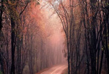 C7娱乐：美因茨vs弗赖堡：李在城、阿米里首发，堂安律、金特尔出战.