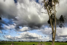 意甲前瞻：国米劳塔罗等4重将缺席，乌迪内斯客战蓝黑7连败.