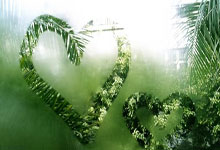 C7娱乐：美因茨vs弗赖堡：李在城、阿米里首发，堂安律、金特尔出战.