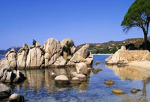 C7娱乐：美因茨vs弗赖堡：李在城、阿米里首发，堂安律、金特尔出战.